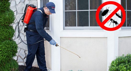 Ortaca Bit İlaçlama böcek ilaçlama ve haşere kontrolü — ilaclama-tr.com